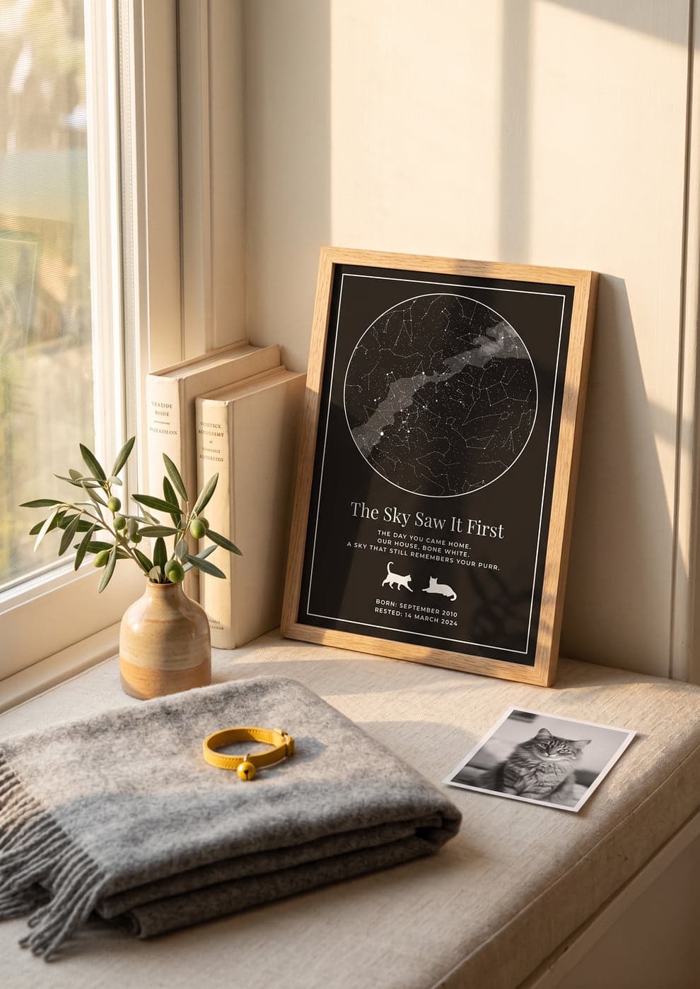 A peaceful windowsill scene with a framed pet star map 'The Sky Saw It First', a folded grey blanket, a yellow cat collar, and a small black-and-white photo of a tabby cat in soft afternoon light
